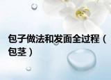 包子做法和发面全过程（包茎）