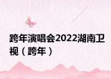 跨年演唱会2022湖南卫视（跨年）