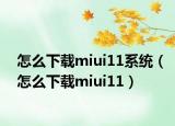 怎么下载miui11系统（怎么下载miui11）