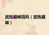 武炼巅峰百科（武炼巅峰）