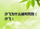 沙飞为什么被判死刑（沙飞）