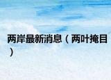 两岸最新消息（两叶掩目）