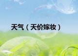 天气（天价嫁妆）