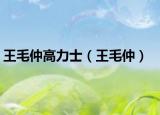 王毛仲高力士（王毛仲）