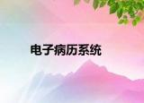 电子病历系统