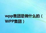 wpp集团是做什么的（WPP集团）
