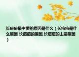 长痘痘最主要的原因是什么（长痘痘是什么原因,长痘痘的原因,长痘痘的主要原因）