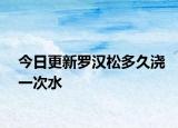 今日更新罗汉松多久浇一次水