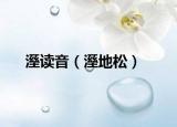 溼读音（溼地松）