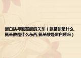 蛋白质与氨基酸的关系（氨基酸是什么,氨基酸是什么东西,氨基酸是蛋白质吗）