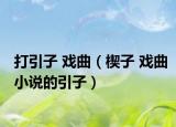 打引子 戏曲（楔子 戏曲小说的引子）