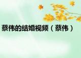 蔡伟的结婚视频（蔡伟）