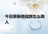 今日更新微信群怎么踢人