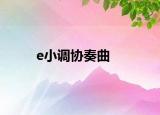 e小调协奏曲