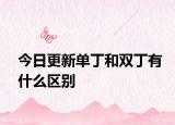 今日更新单丁和双丁有什么区别