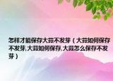 怎样才能保存大蒜不发芽（大蒜如何保存不发芽,大蒜如何保存,大蒜怎么保存不发芽）