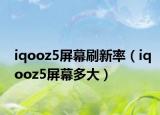 iqooz5屏幕刷新率（iqooz5屏幕多大）