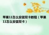 苹果11怎么安装双卡教程（苹果11怎么安装双卡）