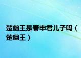楚幽王是春申君儿子吗（楚幽王）