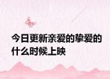 今日更新亲爱的挚爱的什么时候上映