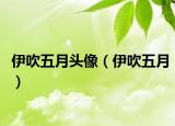 伊吹五月头像（伊吹五月）