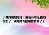 小苏打加醋拖地（生活小妙招,拖地前加了一点醋神奇的事情发生了）