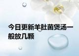 今日更新羊肚菌煲汤一般放几颗