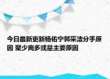 今日最新更新杨佑宁郭采洁分手原因 聚少离多或是主要原因