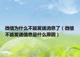 微信为什么不能发送消息了（微信不能发送信息是什么原因）