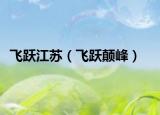 飞跃江苏（飞跃颠峰）