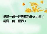 杨澜一问一世界写的什么内容（杨澜一问一世界）