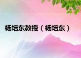 杨培东教授（杨培东）
