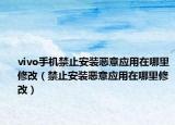 vivo手机禁止安装恶意应用在哪里修改（禁止安装恶意应用在哪里修改）