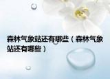 森林气象站还有哪些（森林气象站还有哪些）