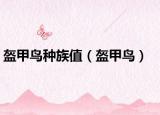 盔甲鸟种族值（盔甲鸟）