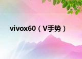 vivox60（V手势）