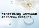 肉松放水里变棉花真假（肉松水洗后真的是棉花吗,肉松洗了会变成棉花吗）