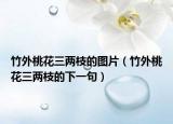 竹外桃花三两枝的图片（竹外桃花三两枝的下一句）