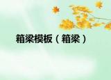 箱梁模板（箱梁）