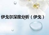 伊戈尔深度分析（伊戈）