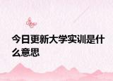 今日更新大学实训是什么意思