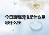 今日更新岚语是什么意思什么梗