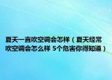 夏天一直吹空调会怎样（夏天经常吹空调会怎么样 5个危害你得知道）