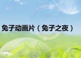 兔子动画片（兔子之夜）