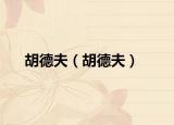 胡德夫（胡德夫）