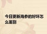 今日更新海参的好坏怎么鉴别