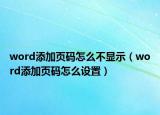 word添加页码怎么不显示（word添加页码怎么设置）