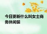 今日更新什么叫女士商务休闲装