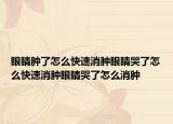 眼睛肿了怎么快速消肿眼睛哭了怎么快速消肿眼睛哭了怎么消肿