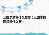 三国杀禁将什么意思（三国杀的四禁是什么呀）